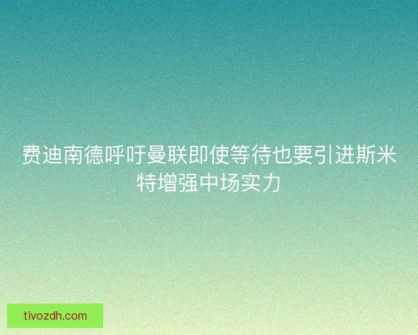 费迪南德呼吁曼联即使等待也要引进斯米特增强中场实力 费迪南德呼吁曼联即使等待也要引进斯米特增强中场实力